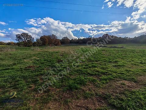 MERKEZE 30 KM GÖMENİÇTE 3.846 m² SULAK TARLA