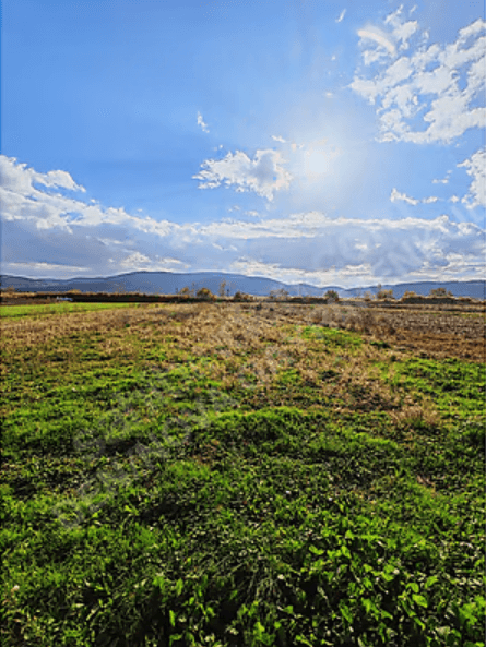 KOCAAVŞAR OVASINDA 983 m² YATIRIMLIK ARAZİ-TARLA